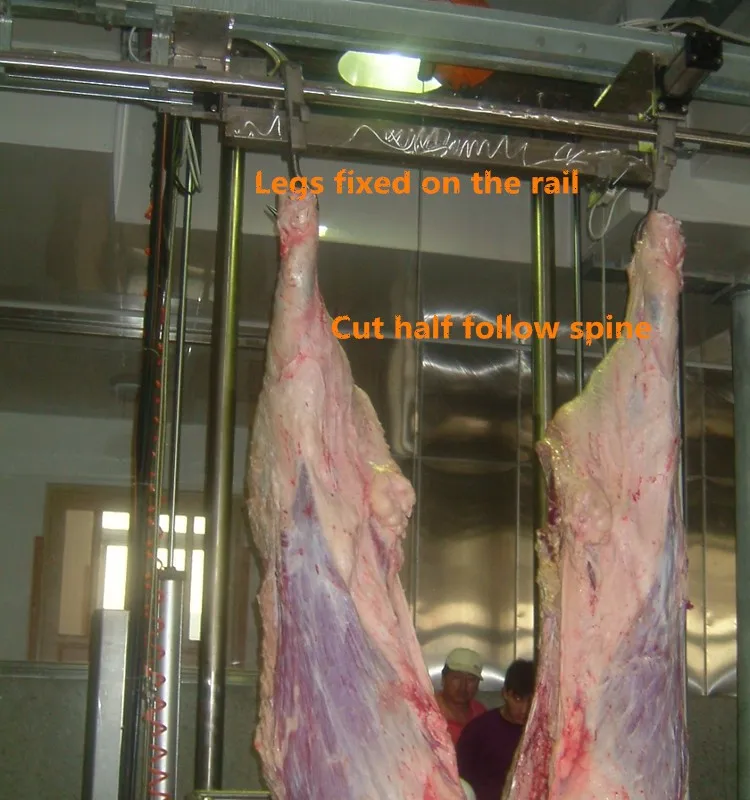 Professional Beef Carcass Cutting Saw - Heavy-Duty Construction, High Production, Industry-Leading Reliability