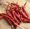 (HOT) Dry Red Chilli