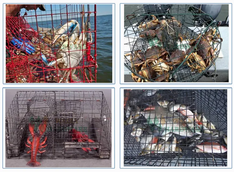 Crab Trap, Lobster Trap, Vinyl Coated Square Welded Wire Mesh