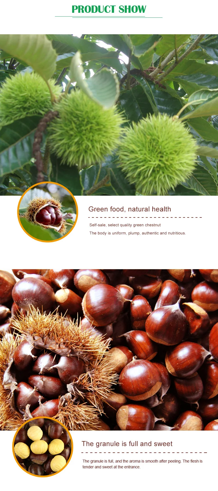 Chinese Chestnut Wholesale Price Fresh Chestnut In Shell Buy Fresh