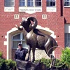 Outdoor Metal Craft Life Size Bronze Big Horn Goat Sheep Step On Rock Sculpture