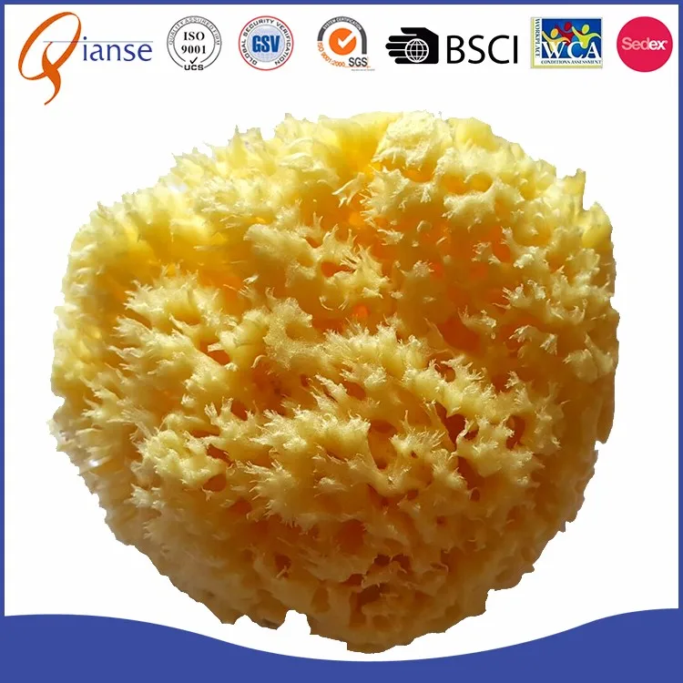 Premium Sea Wool Sponge