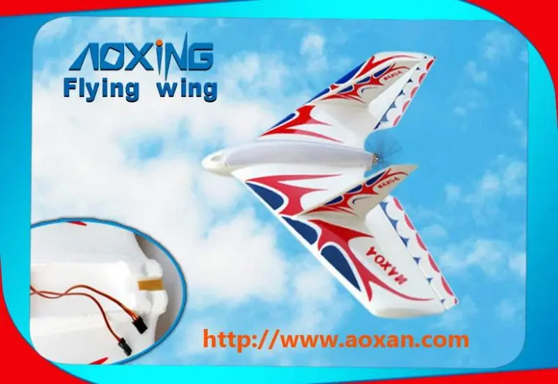 fly wing1