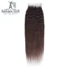 Closure With Top Wig Cap Curly Hair , U Part Light Brown Lace Hair Closure