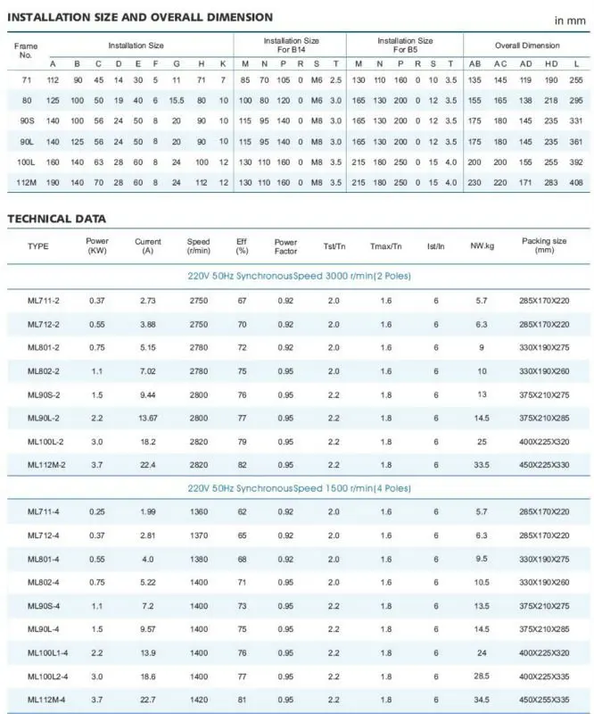ML 1-phase motor.jpg