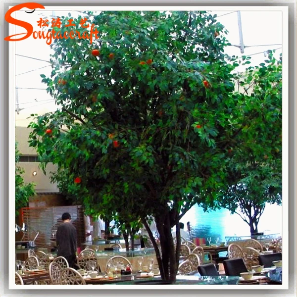 Fruit Tree Wholesale / Wholesale Evergreen Decorative Artificial Papaya Fruit ... / Related search › buy fruit trees wholesale › 4.1 (8) wholesale plant nursery � pelham buy fruit trees wholesale can offer you many choices to save money thanks to 19 active results.