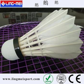 big shuttlecock