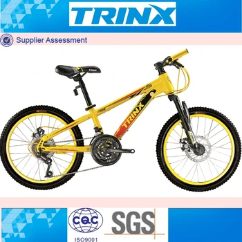 size 20 mountain bike