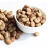 Grade A fava beans broad beans for cooking