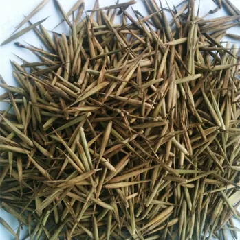 New Crop High Purity Moso Bamboo Seeds For Planting New Crop High Purity Moso Bamboo Seeds For Planting