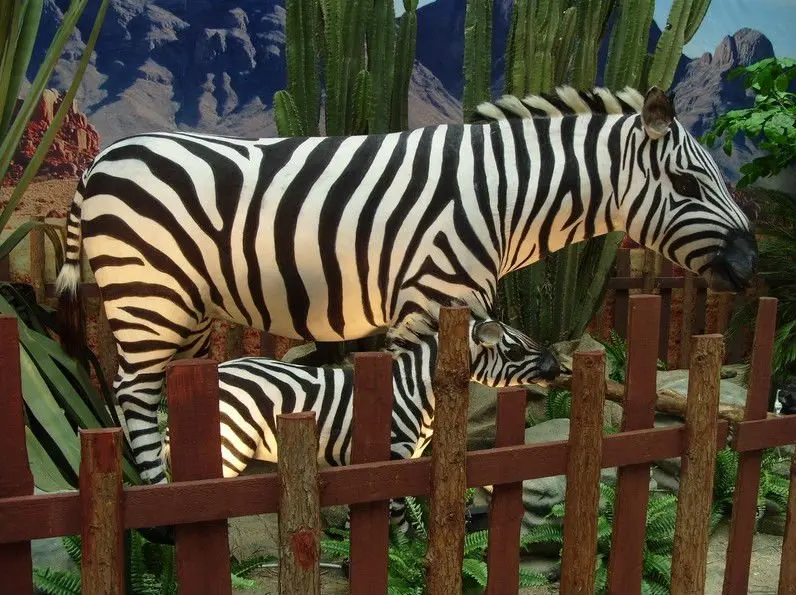 All Kinds Of Fiberglass Animals For Sale Buy Fiberglass Animals For