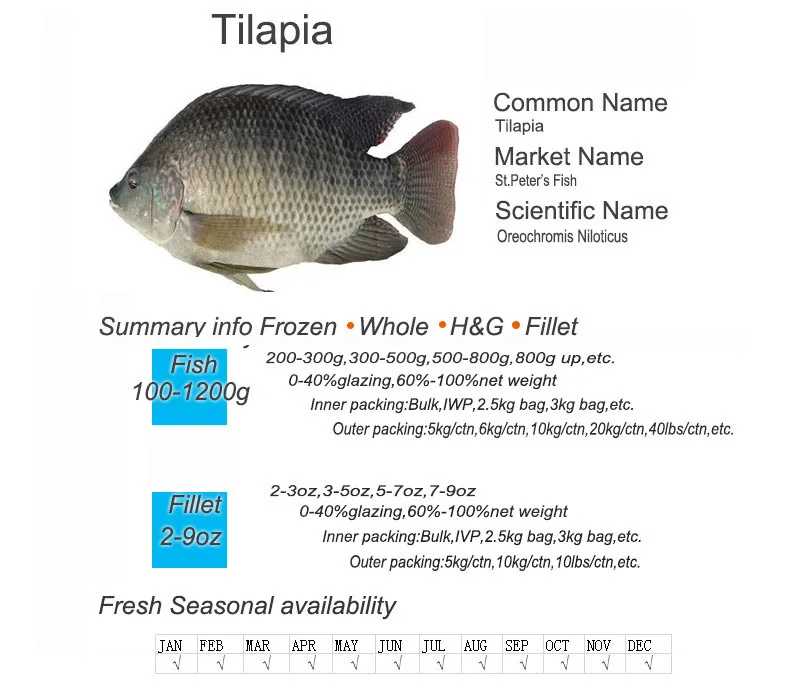 Hot Sell A Grade Tilapia Fingerlings Buy Tilapia Fingerlings,Live