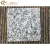 Cheap Grey Bianco Sardo G602 Granite Paving Stone Tile for Flooring
