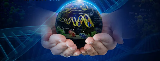 product-1-1 product-1-1