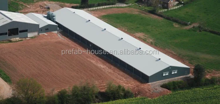 Poultry shed design modern chicken farm building for South Africa