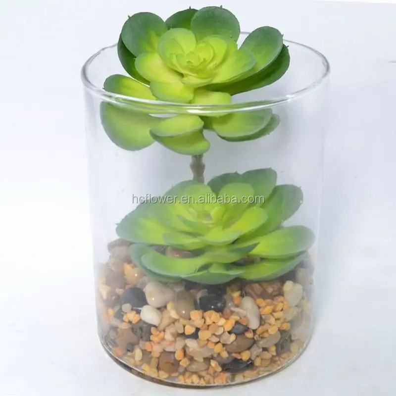 Mini Potted Tabletop Potted Indoor Artificial Succulent Glass Bonsai_HC-BS13034
