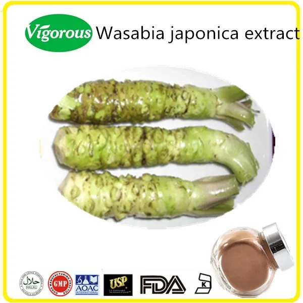 100 Pure Natural Wasabia Japonica Root Extract Powder Buy Wasabia