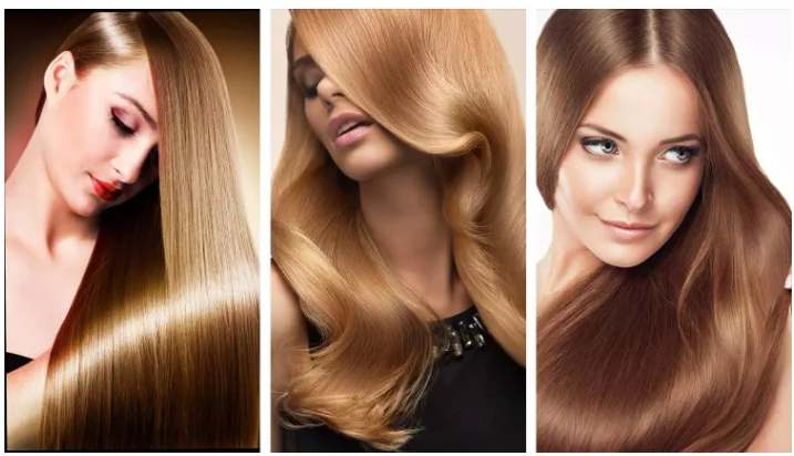 hair dryer machine (12).png