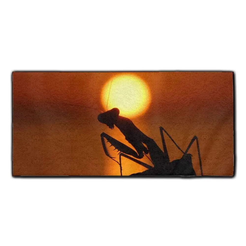 Baerg Microfiber Super Absorbent Face Towel Sunset Mantis Hair Care Towel Gym Spa Towel
