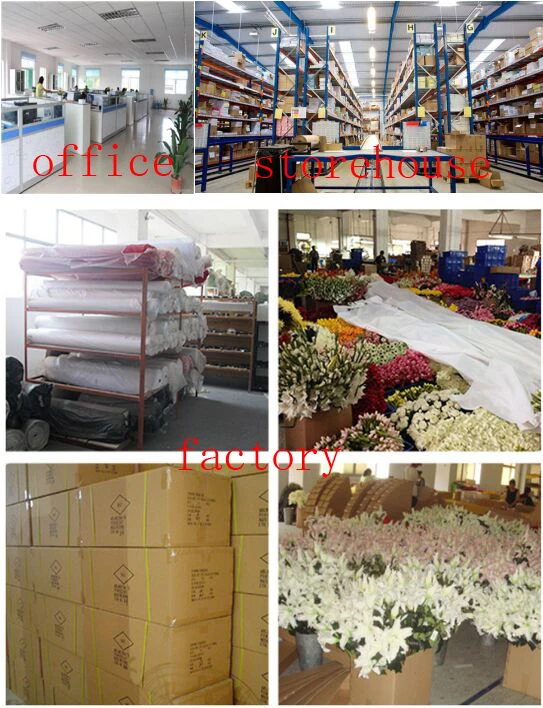 Yiwu Wholesale Preserved Ecuador Roses Bi Color Led Eternal Flowers For