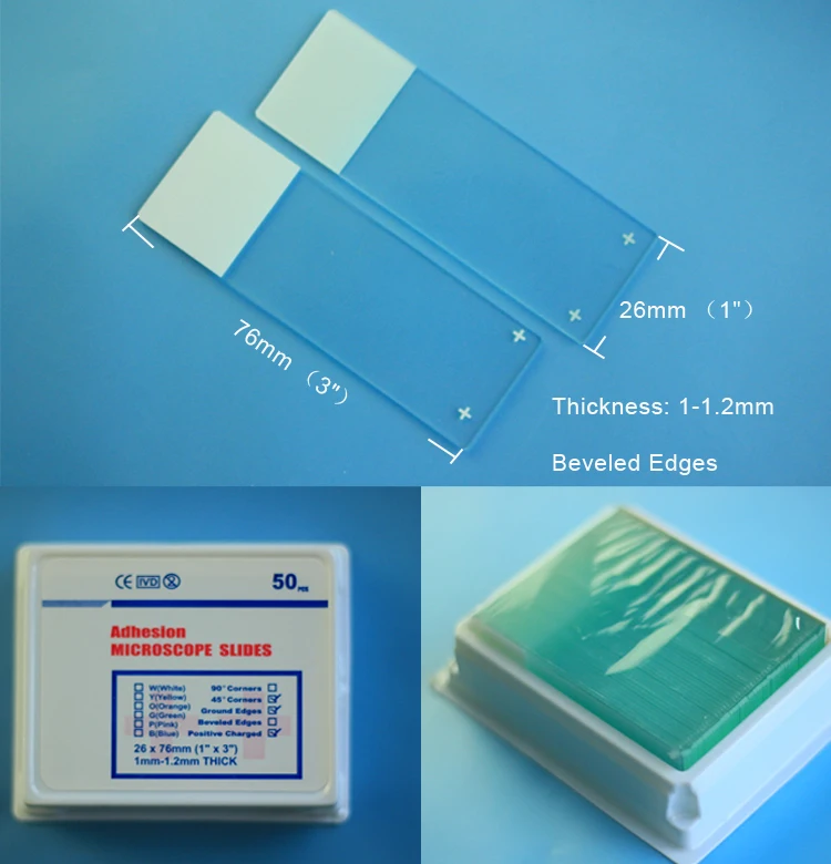 High Quality Positive Charged Slides Adhesive Microscope Slide - Buy ...