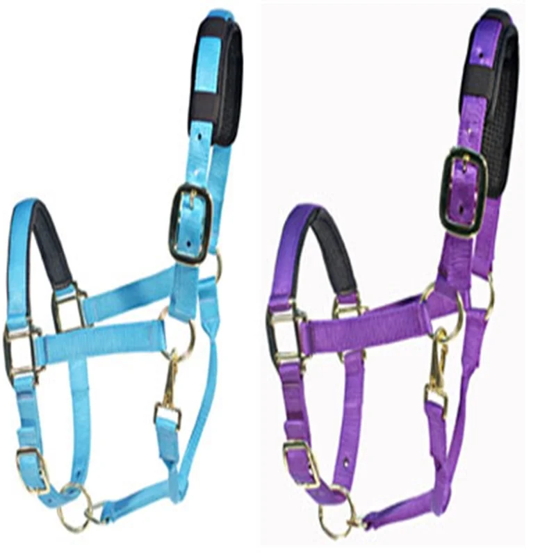 Horse Halter Horse Racing Bridle Buy Horse Halter,Horse Bridle,Horse