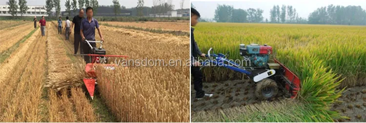 rice-reaper-10.jpg
