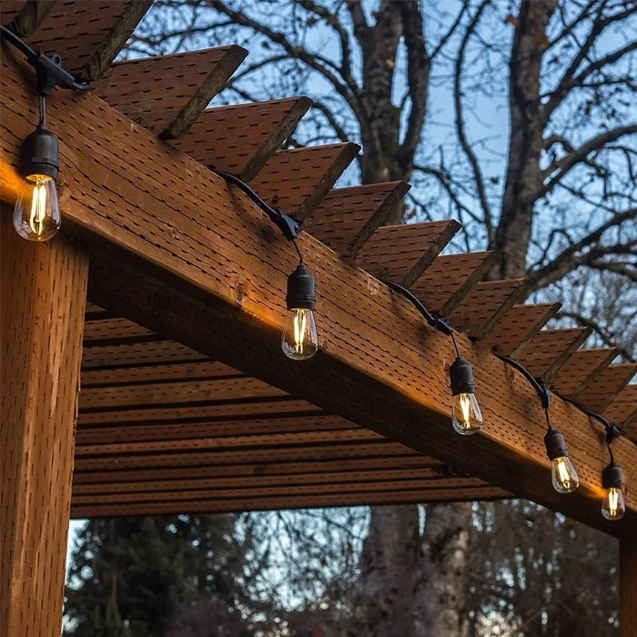 festoon light-8.jpg