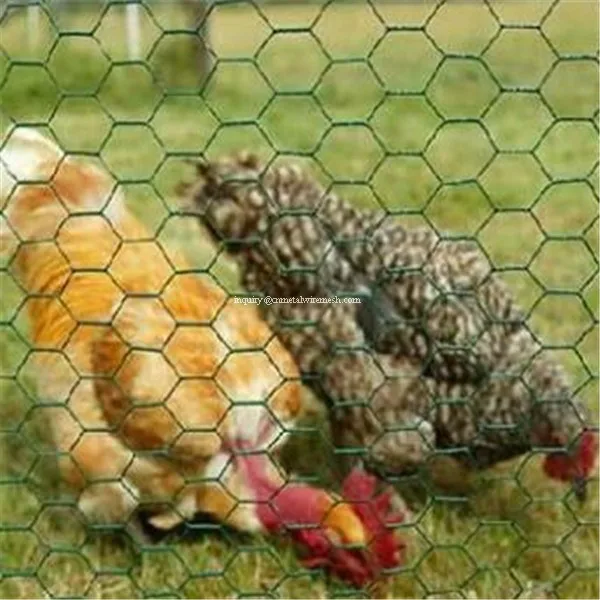 Cheap Hexagonal Chicken Wire Netting/poultry Hexagonal Wire Mesh 1/2 Galvanized Hexagonal Wire
