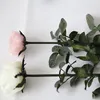 More Guns N Roses Forever 21 For Benchmark Bouquets With Excellent Quality