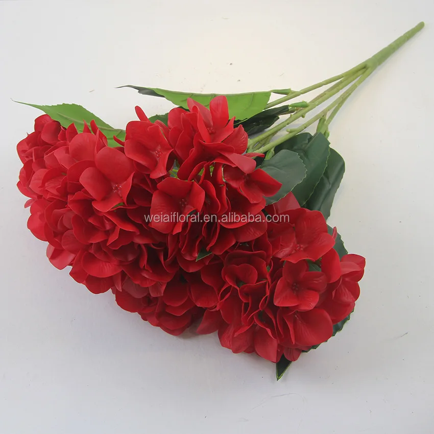 3690074122_1919631615 (1).jpg