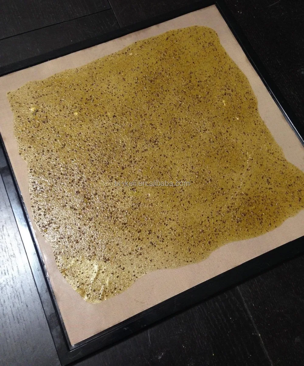 Food Dehydrator Sheets Set Of 10 Non Stick Teflon Ptfe Drying Liners