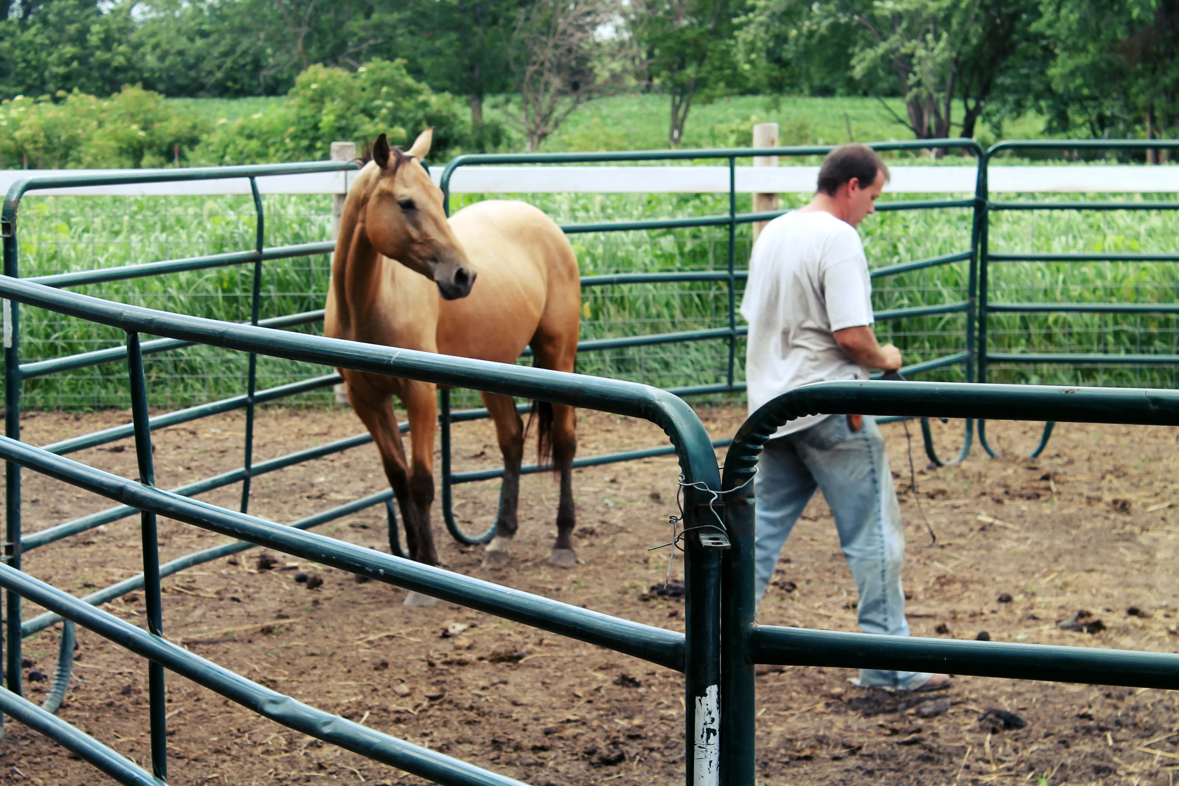 Used Horse Corral Panels Buy Metal Horse Fence Panel,Horse Stall