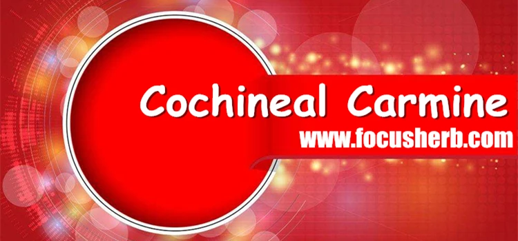 Cochineal Carmine.jpg