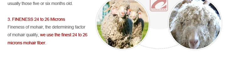 Fashion Top Line mohair yarn favored by korea textile companies