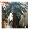 Details of outdoor artificial palm trees medjool all kinds date palms decorative metal palm trees for sale