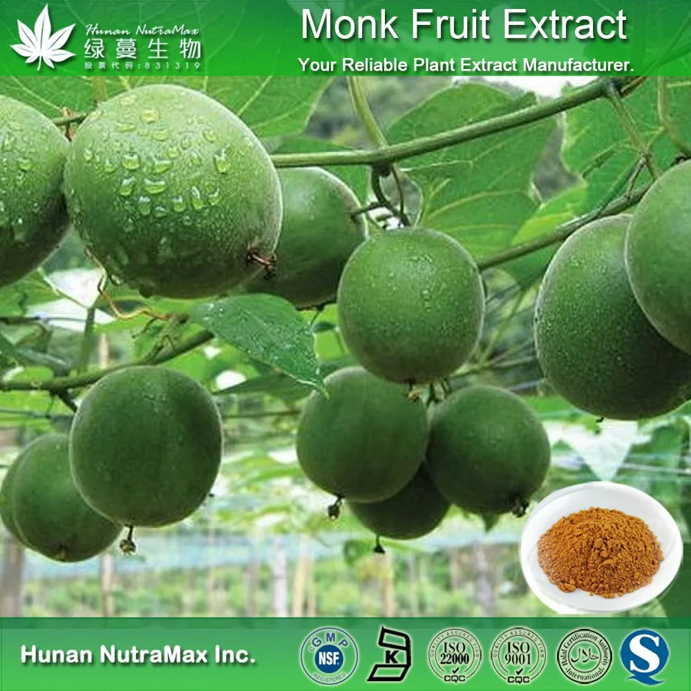 Monk Fruit Extract/ Siraitia Grosvenorii Extract/high Quality Organic ...