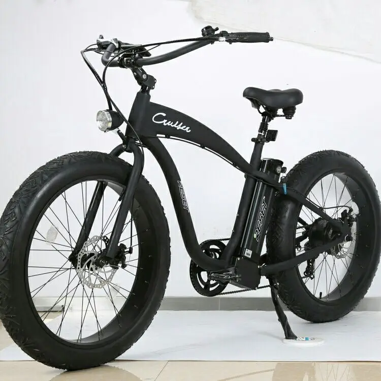 sartori electric bike motor