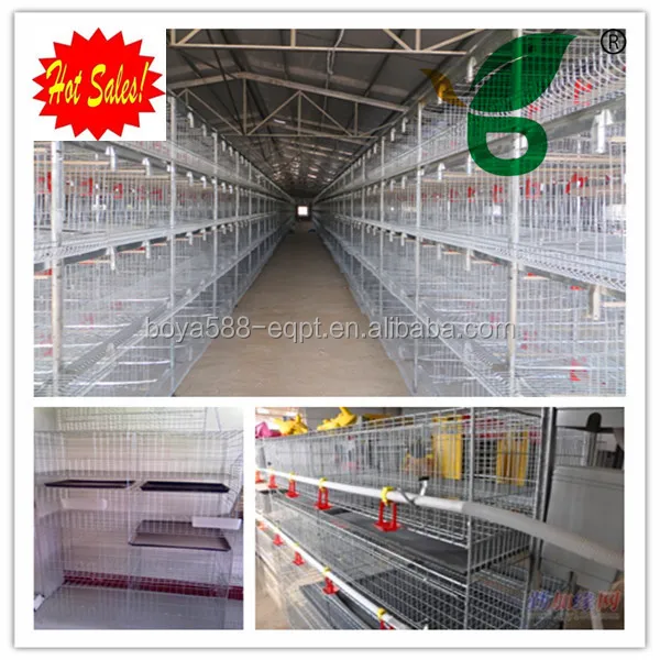 Economic Industrial Chicken Brooder Coop With Automatic Temperature