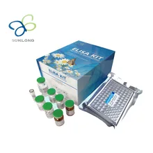 Human Erythropoietin,EPO ELISA Kit