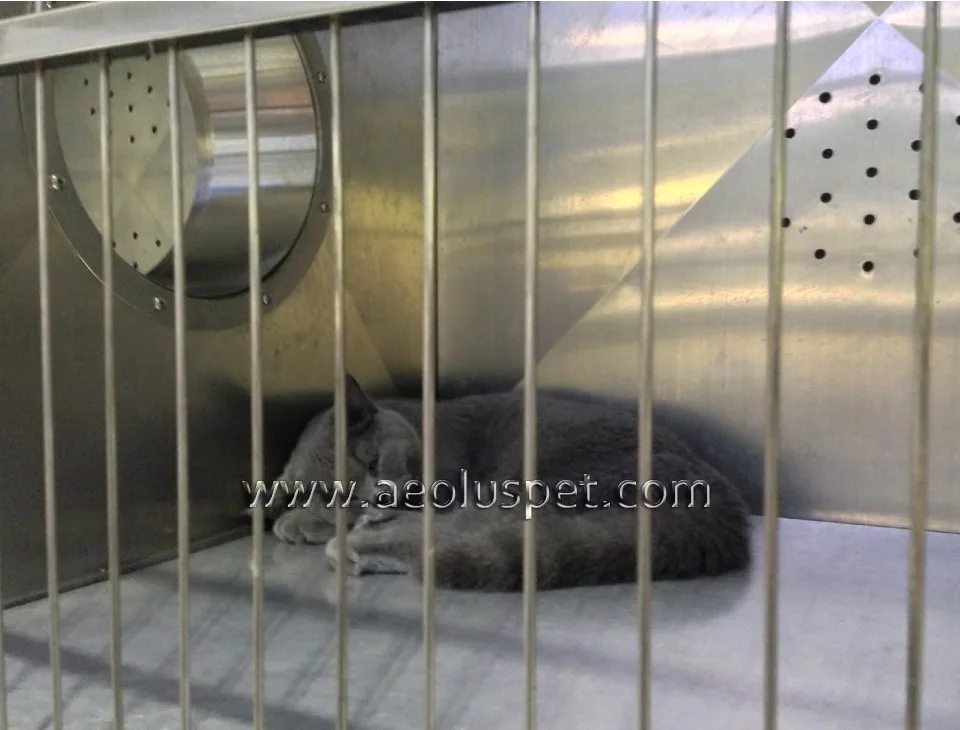 Ka508c Special Design Cat Kennel Stainless Steel Indoor Cat Cages For