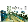 Various types of canned fish production line professional canned tuna sardine herring cod mackerel tin cans fish canning machine