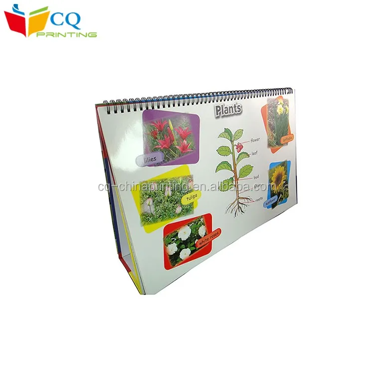 Full Color Printed Plastic Cover For Desk Calendar Monthly Desk Pad
