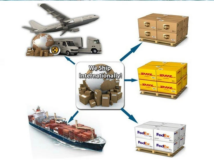 Geometric Statement Jewelry Gold Tone Zinc Alloy Semicircle Flower Leaves Stud Earrings For Girls