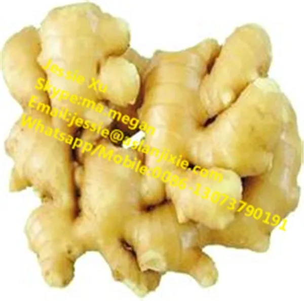 Ginger Juice Extraction Machine/ginger Juice Extractor/garlic Juice And