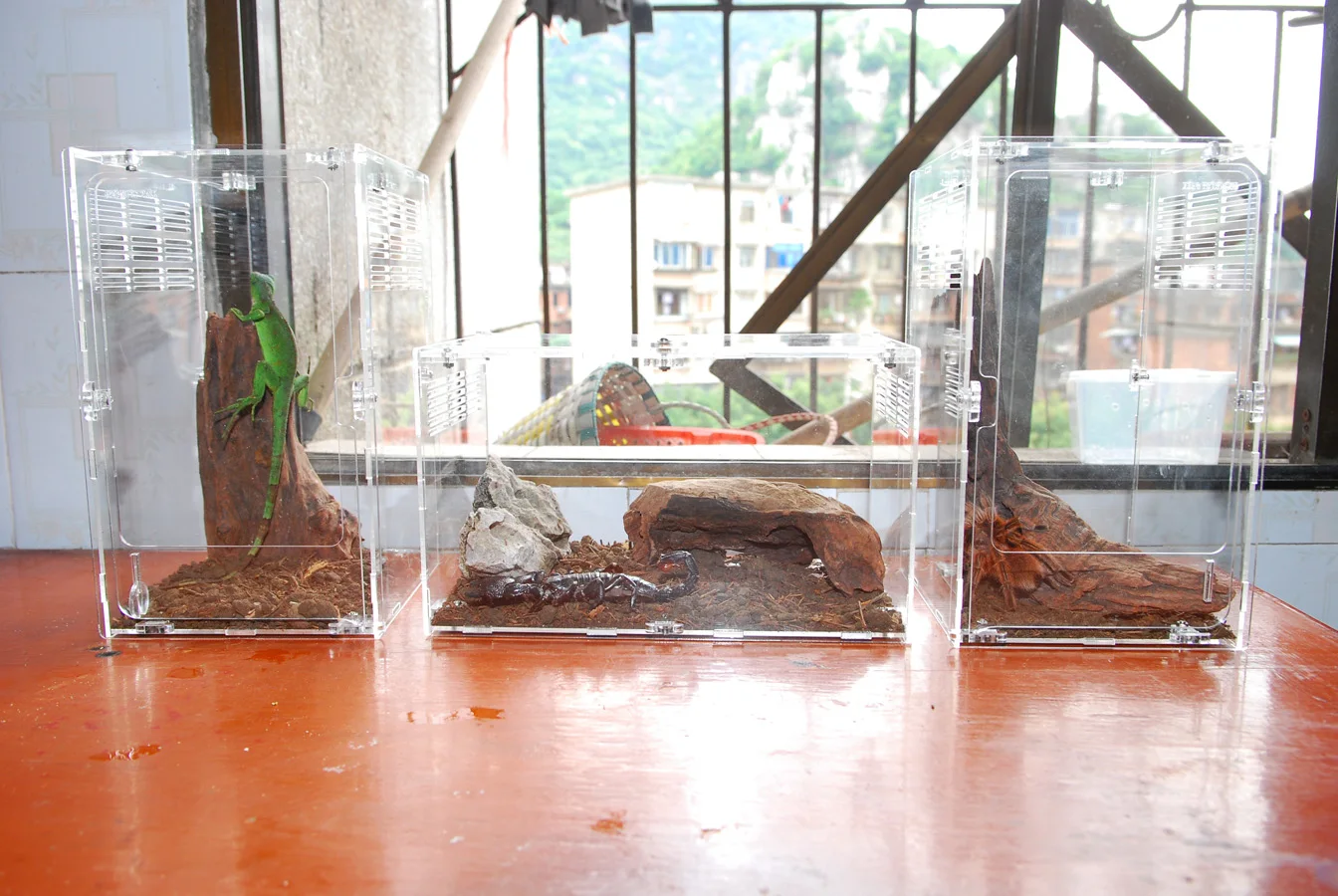 Hot Selling Transparent Acrylic Reptile Hide Cage Buy Reptile Hide