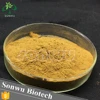 Supply Pueraria Mirifica Extract/Kudzu Root extract 98% Puerarin