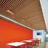Modern Babylon Creative Wood Plastic Composite Ceiling for Indoor