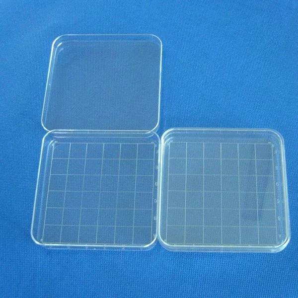 Mini Size Disposable Glass Petri Dish /square Quartz Buy Petri Dish