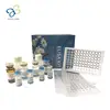 Mouse Hematopoietic SH2 domain-containing protein,Hsh2d Elisa Kit
